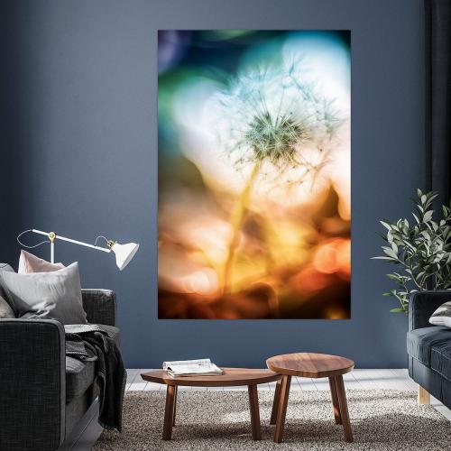 BPK808-02144-1502368-Farbenfrohe-Pusteblume