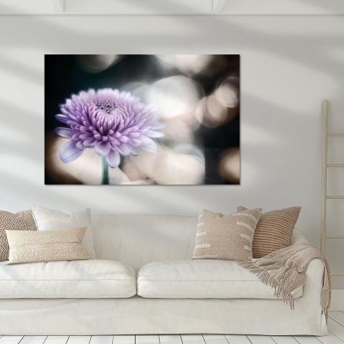 BPK809-02418-1594121-Aster-im-Maerchenland-Nicc-Koch
