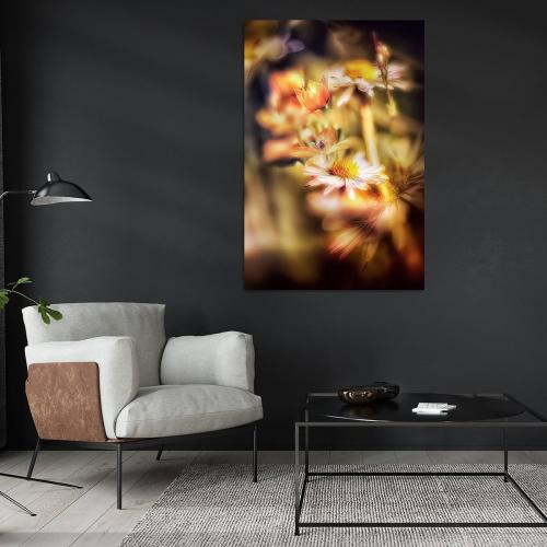 FTK804-0157-Art-Heroes-1166977-Gnseblmchen-und-Milchstern