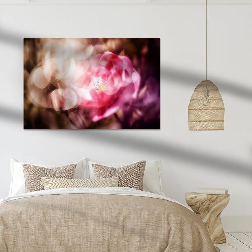 RBK805-2063-Rosenbluete-im-Art-Heroes-1257810-Rosenblte-im-Licht