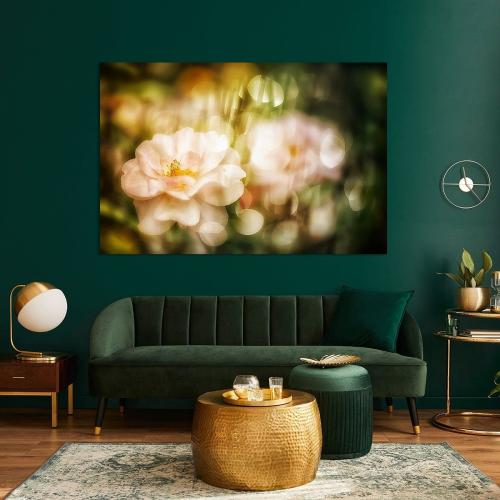 RBK805-2108-Art-Heroes-1257811-Bezaubernde-lachsfarbene-Rosenblten