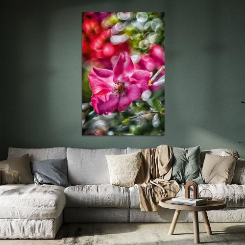 RBK806-00641-Art-Heroes-1184145-Rosenblte-mit-Bokeh