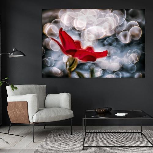 RBK807-01075-Art-Heroes-1217054-Rote-Rose-mit-Lichterbokeh