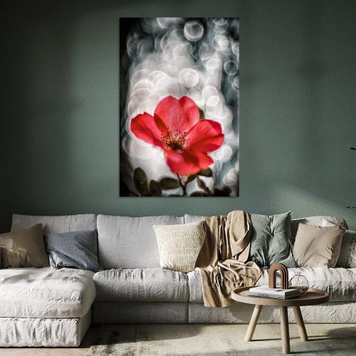 RBK807-01080-Art-Heroes-1217074-Rosenblte-mit-Seifenblaseneffekt