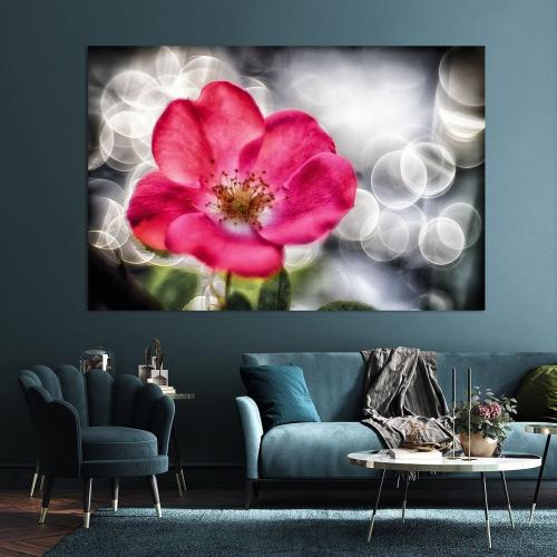 RBK807-01082-Art-Heroes-1217079-Rosenblte-mit-Lichtern