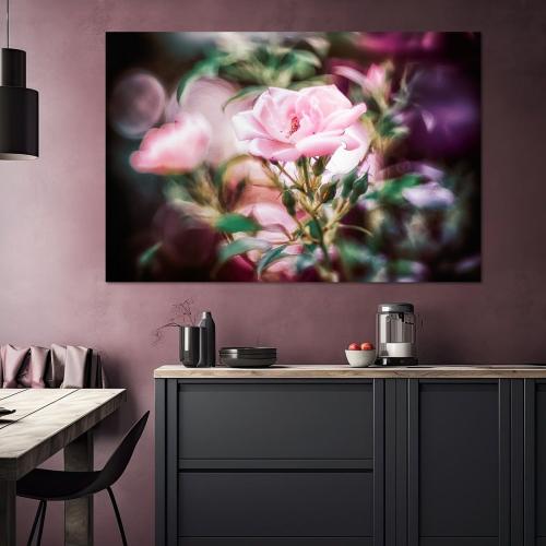 RBK807-01519-Art-Heroes-1184146-Rosenblten-im-Gegenlicht