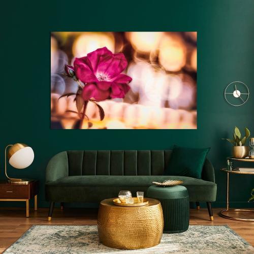 RBK807-01547-Art-Heroes-1257808-Rosenblte-im-Lichtertanz