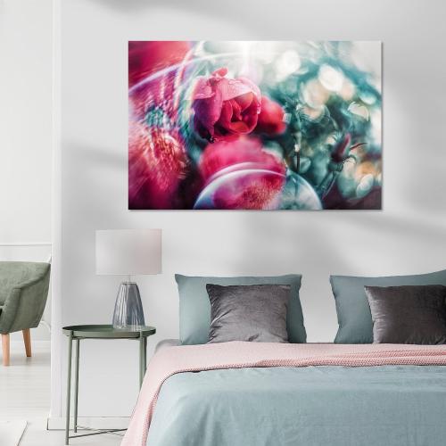 RBK811-03842-1551225-Rosenbluete-mit-Lensflares-Nicc-Koch