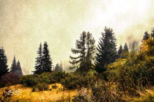 FTK209-8893-Herbstliche-Alpenlandschaft
