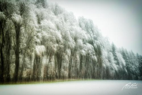 FTK902-04541-Winterlicher-Waldrand-abstrakt