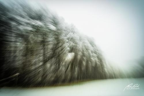 FTK902-04544-Waldrand-im-Schneefall-abstrakt