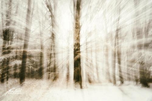 FTK902-04572-Winterwald-im-Schnee-abstrakt