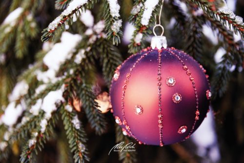 DSC 6974K612-24295670-hp16P-Weihnachtskugel