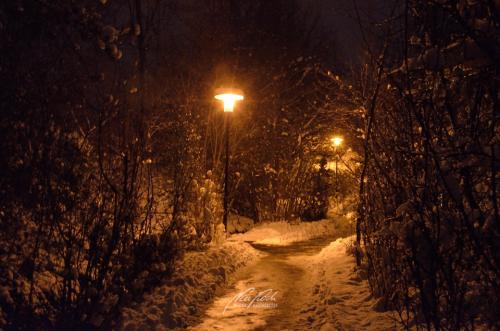 DSC14061212-13825081-hp12-Winterlicher-Weg-durch-die-Nacht