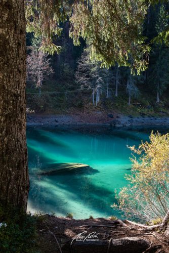 DSC 9303K710-24955127-hp17P-Caumasee