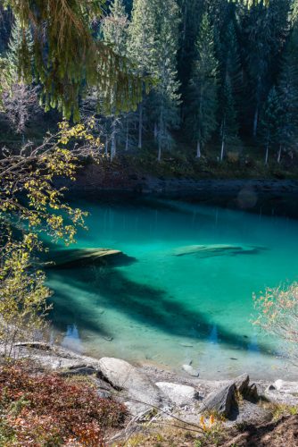 DSC 9309K710-24955116-hp17P-Caumasee