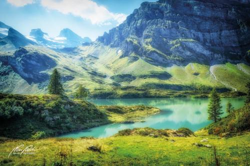 LBK809-02651-Truebsee