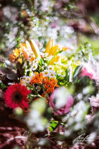 RBU003-05129-Blumenstrauss-im-Sonnenschein
