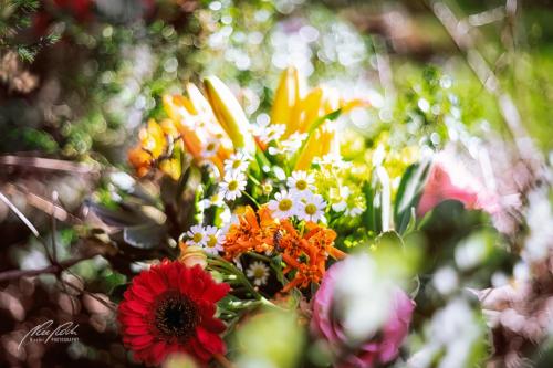 RBU003-05133-Froehlicher-Blumenstrauss