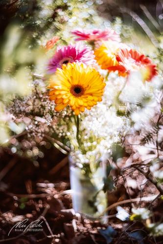 RBU003-05150-Romantischer-Blumenstrauss-im-Sonnenschein