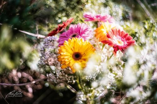 RBU003-05154-Bezaubernder-Blumenstrauss