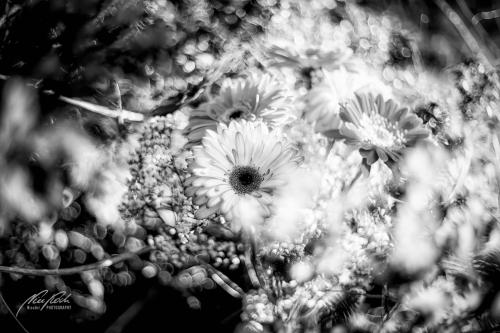 SWU003-05154-Bezaubernder-Blumenstrauss-sw